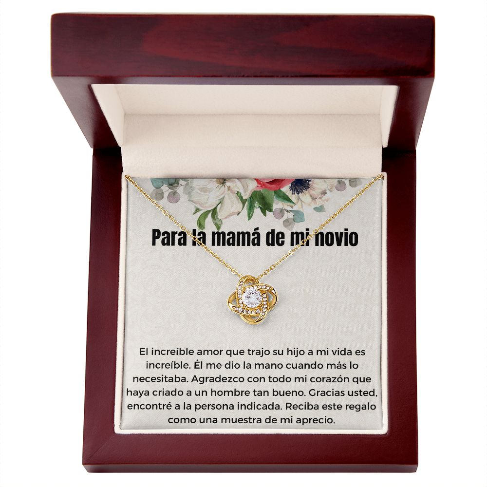 Gift for boyfriends mom in spanish